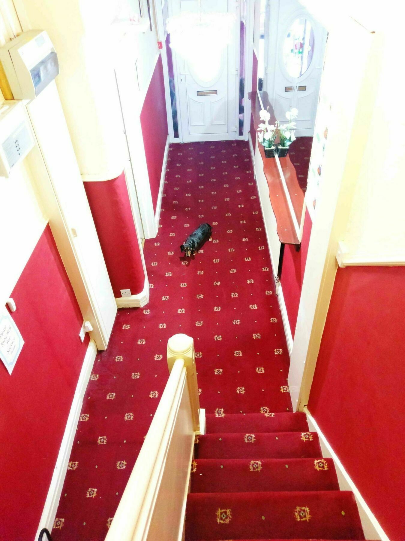 Bed and Breakfast Ringbane House Blackpool Exterior foto